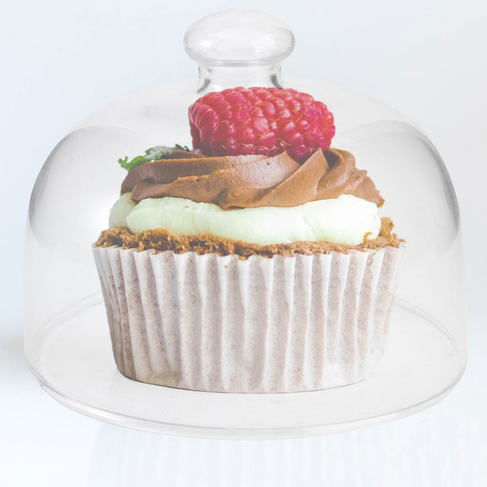 Plastic Dome Clear - 2Pcs Clear Glass Round Cake Cover