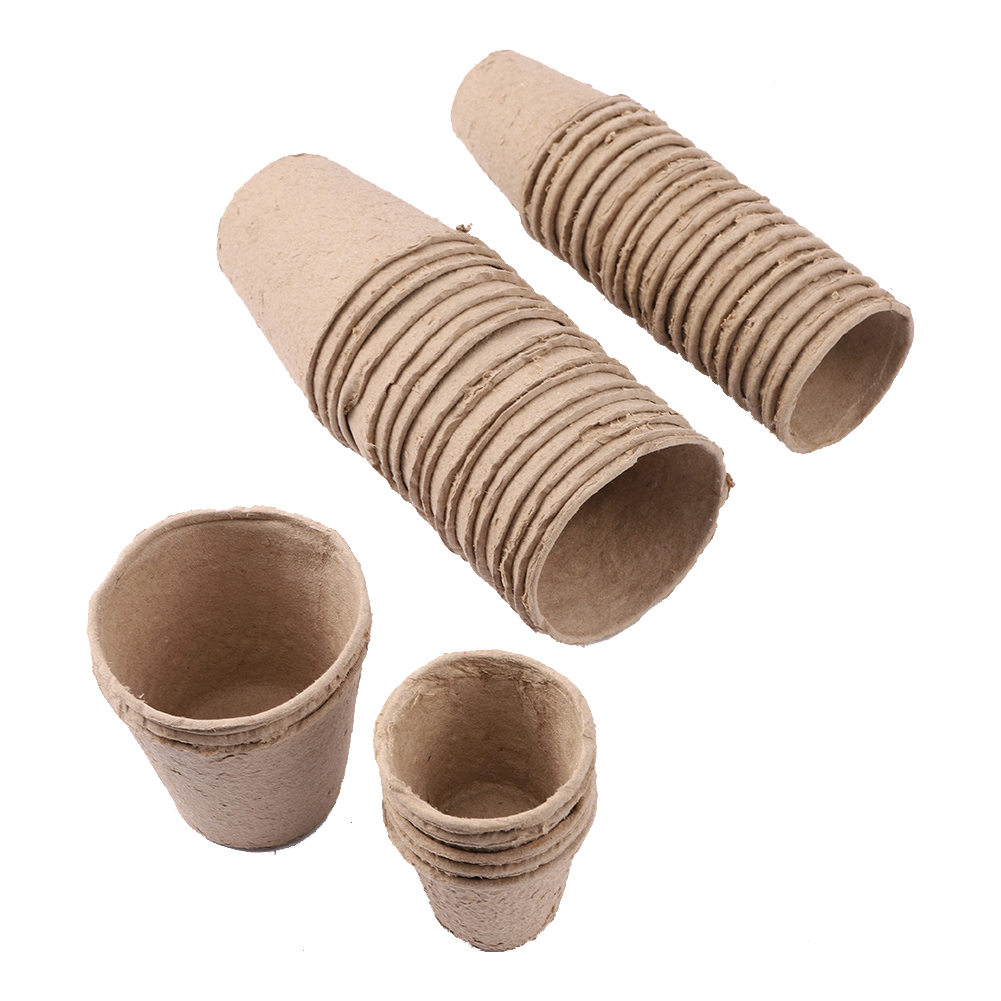 Peat Pellet Tray - 20 Chiếc 6.2Cm Bảo Vệ Môi