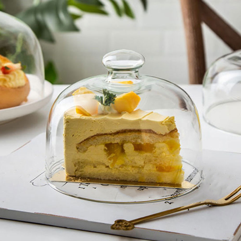 2Pcs Clear Glass Round Cake Co - đánh giá và giá Plastic Dome Clear